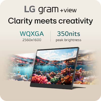 LG gram +view 17” IPS WQXGA 60Hz Portable Monitor (USB Type C